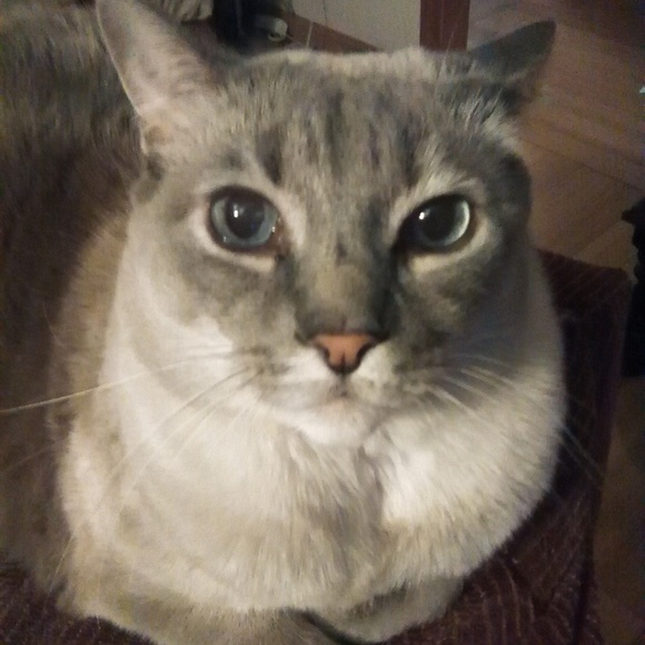 Meet your Posher, John - Picture 2 of 2